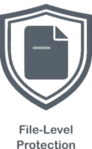 File-Level Protection