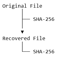 Text Recovery Validation